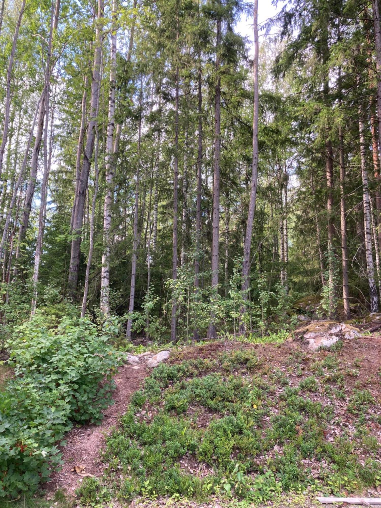 Yksio Multisillassa. Sanky Kahdelle. Tampere Zewnętrze zdjęcie
